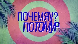 Новый канал о домашних животных Почемяу Потомур