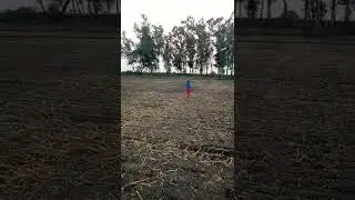 my boy was chaking in Super seeder sending in weat chak this seed