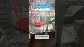 🚌 Сборка гармошки ZhongTong для Португалии. Характеристики в Телеге