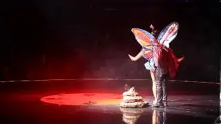 La Mosca y la Mariposa (Salto Natale)