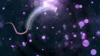 Astral Travel