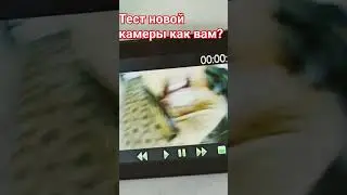 #standoff2 #реки #стандофф2 #piano #freefire #роблокс #мем #smartphone #automobile #дуэт