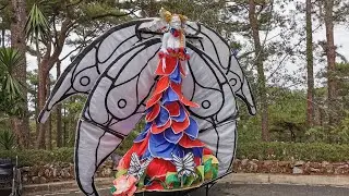 A WALK TO THE CEMETERY OF NEGATIVISM AT CAMP JOHN HAY