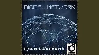 Digital Network (Original Mix)