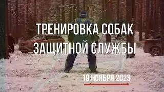 Тренировка собак защитной службы 19 нояб 2023 #ВалентинХодак