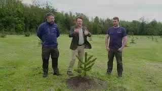 Conifer Conservation JFK Arboretum Dr  Darach Lupton with Gary and Dan