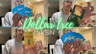 #dollartree #dollartreefind #amoeldollartree #minihaul