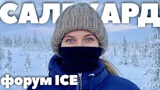 МОЙ ПЕРВЫЙ РАЗ... ЗА ПОЛЯРНЫМ КРУГОМ | Часть 2 Встреча с оленями