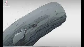 THE LEVIATHAN (THE UNWRITTEN)