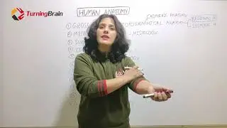 WHAT TO STUDY IN ANATOMY IN MBBS FIRST YEAR? TYPES OF ANATOMY