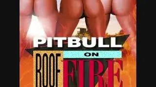 Pitbull - Roof On Fire (Audio)