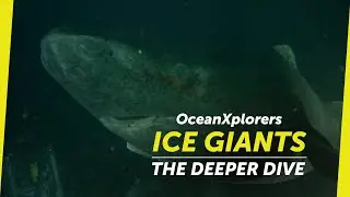OceanXplorers: Ice Giants - The Deeper Dive