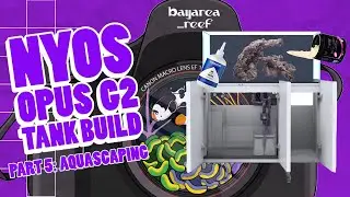 Bay Area Reef's Nyos Opus G2 440 Tank Build: Part 5 - Aquascaping
