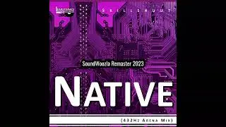 Skillshuut - Native (432Hz Arena Mix) - Remaster by SoundWoozla