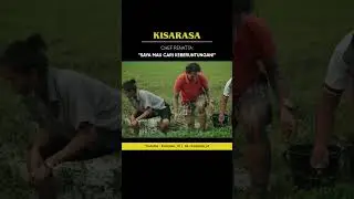 Masalah daun cabang 3 atau 4 ni... #foodshorts