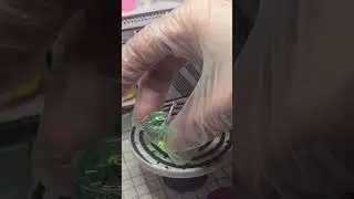 Let's Make Mini Bug Punch for Halloween