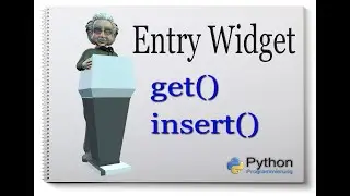 Python Tkinter Entry Widget [get() und insert-Methode] #9
