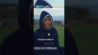 Коровы обдолбались 😂  