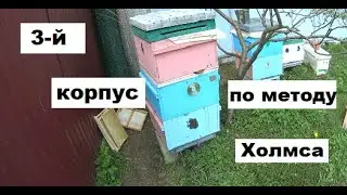 Пчеловодство по методу 