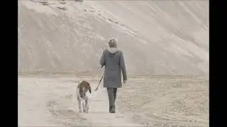 #centralasianshepherddog