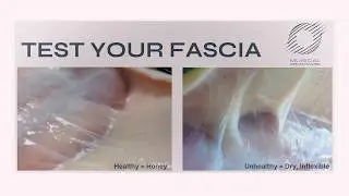 Fascia Test