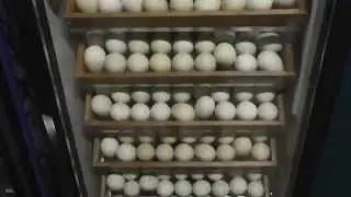 00009