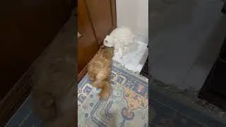 Awww 🥰