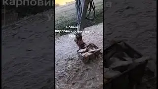 Как нужно ловить рыбу
