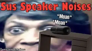 Sus Speaker noises