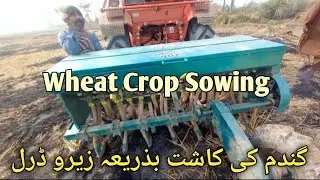 How to Sow Wheat Crop Using Zero Drill In Pakistan | Wheat Farming  گندم کی کاشت بذریعہ ڈرل