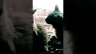 @Дарья Оболенова стих про волшебные Тыры-Пыры День Юпитера приходит.