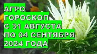 Агрогороскоп с 31 августа по 04 сентября 2024 Agrohoroscope from August 31 to September 04, 2024