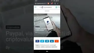 PayPal abilita l'acquisto di criptovalute a tutti gli utenti USA: occhio alla FOMO! 