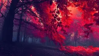 Kaskade - Disarm You (Illenium Remix)