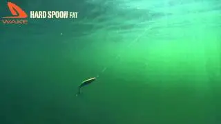 Wake Hard Spoon Fat