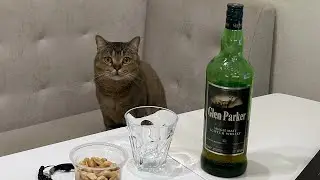 Обзор виски Glen Parker