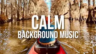 Near You - Acoustic Guitar Background Music | No Copyright