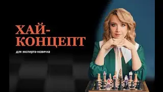 Хай-концепт и линейка продуктов для эксперта-новичка