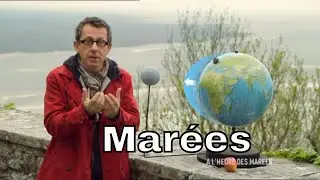 Qu'est-ce qui provoque les marées ? - C'est Pas Sorcier