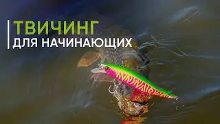 Твичинг для начинающих. Как ловить на рывковые воблеры