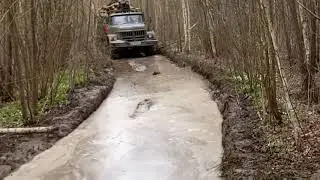 Лесовоз на бездорожье