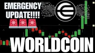 WORLDCOIN (WLD) MASSIVE UPDATE! | WLD PRICE PREDICTION & NEWS 2024  🚨