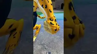 Playing a FAKE Blox Fruit Game Be like...