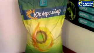 Подсолнечник Рими - описание