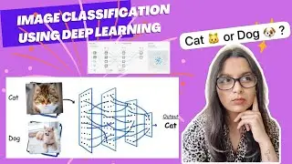 Cat vs Dog Image Classification with Deep Learning Neural Networks Explained | Easy and Step by Step