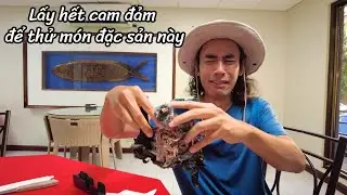 Món đặc sản rùng rợn không mấy ai dám thử 🇵🇼