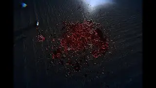 SCP: SL  Grandma´s Ashes just got destroyed