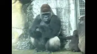 *colds* Are you okay? yeah im okay little buddy #shorts