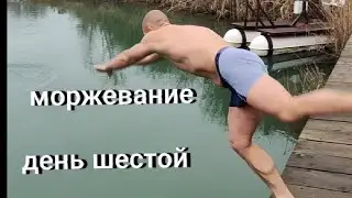 Моржевание, день шестой.