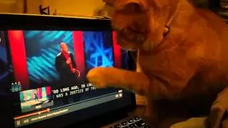 Saving Alonzo Bodden